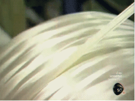 Manufacturing Process Of Carbon Fiber veil canada