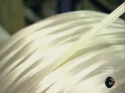 Wire Drawing Carbon Yarn Filament