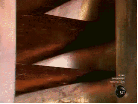 thermoplastic macromolecules carbon veil